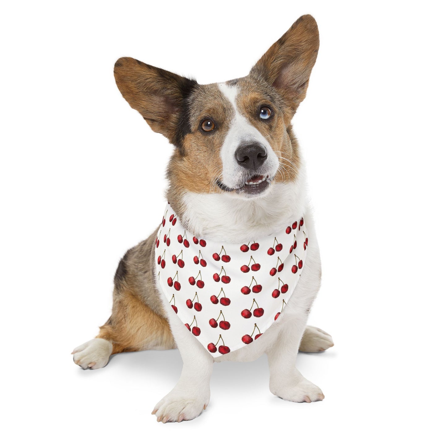 Cherry Dog Bandana