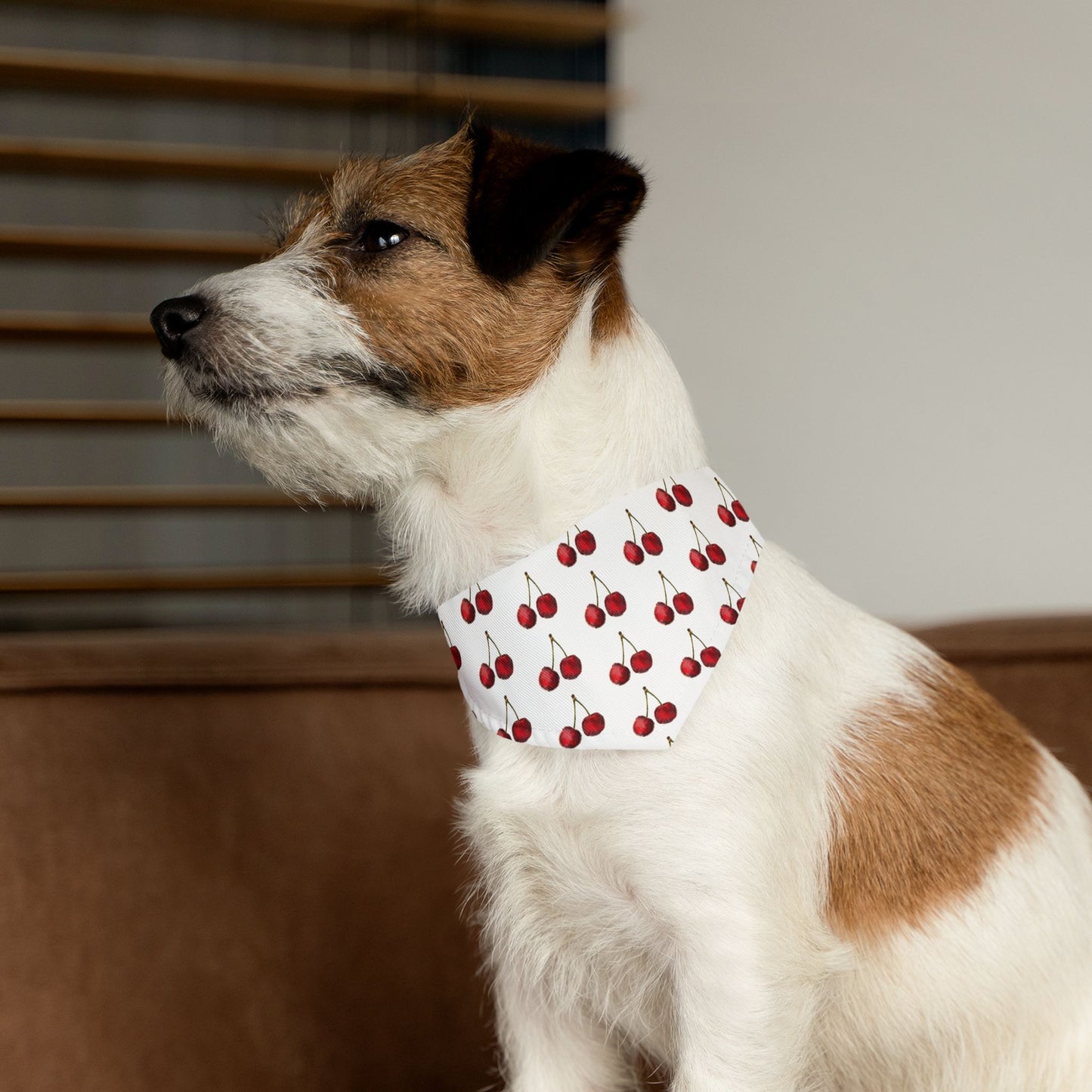 Cherry Dog Bandana