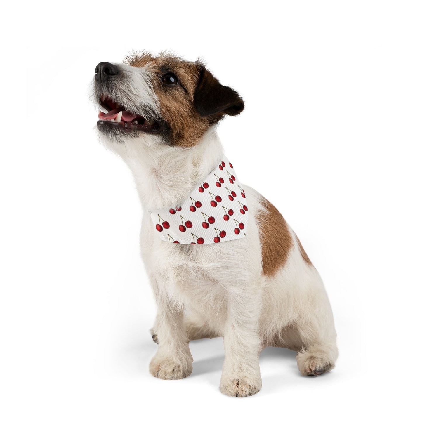 Cherry Dog Bandana
